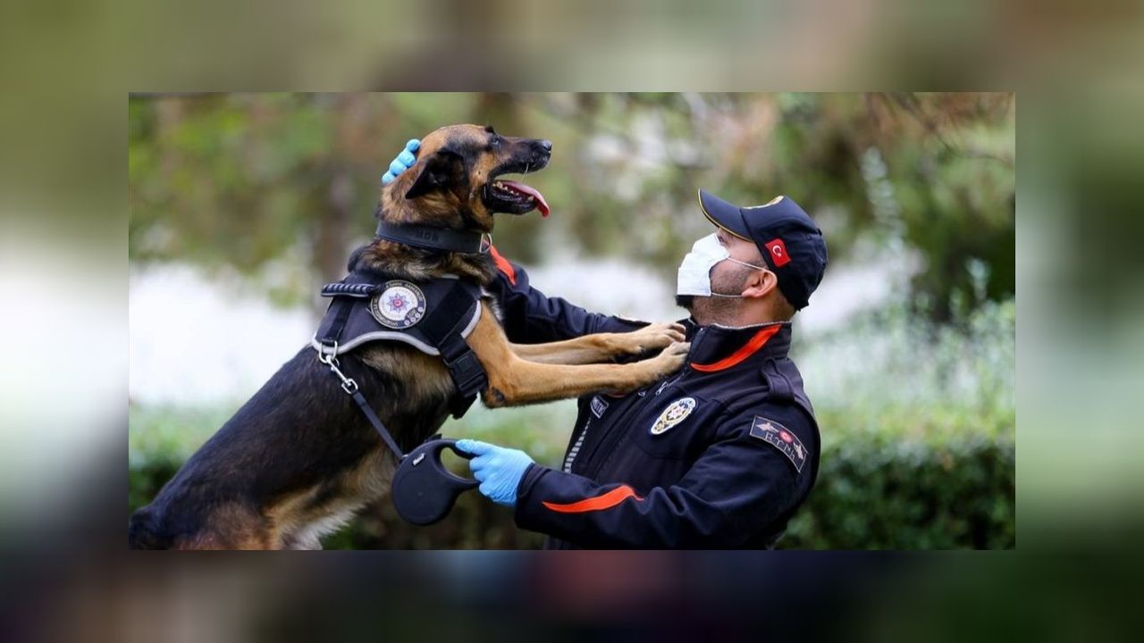 Tekirdağ'da uyuyşturucu operasyonu! 11 şüpheli gözaltında