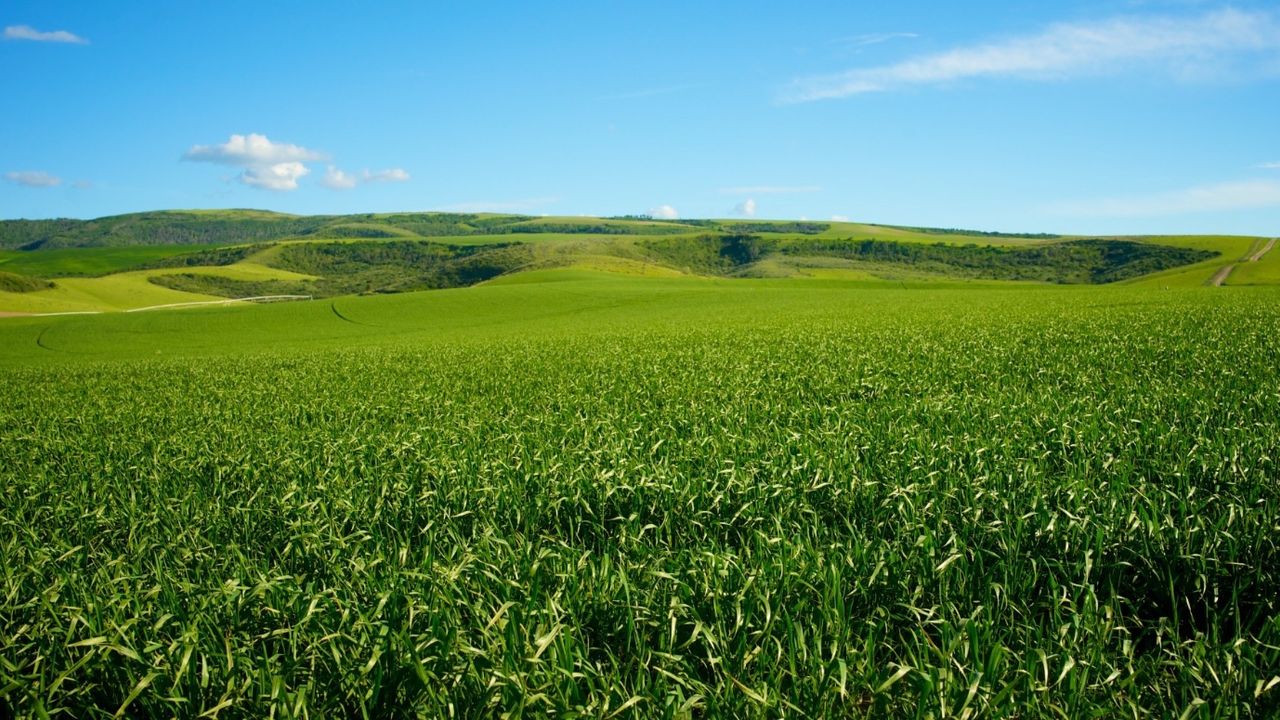 394,04 metre kare arsa 15 Bin TL’den sizin olabilir! Ortalığı karıştıracak satışa sayılı günler kaldı