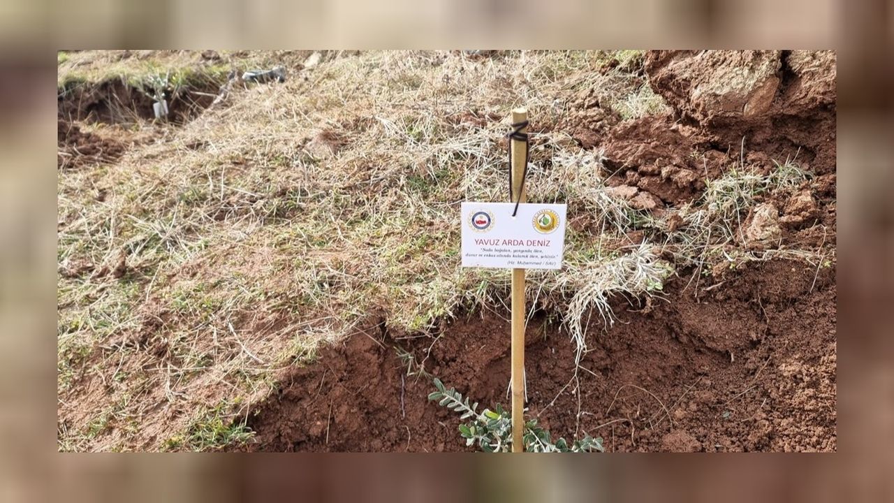 Adıyaman'da depremde hayatını kaybedenler için zeytin fidanları dikildi! 