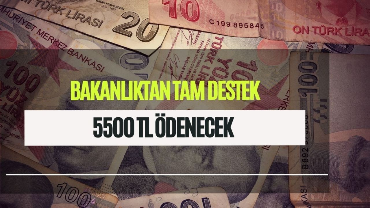 Aile Bakanlığı devreye girdi! Aylık olarak ödenecek! 5500 TL müjdesi cepleri şenlendirecek