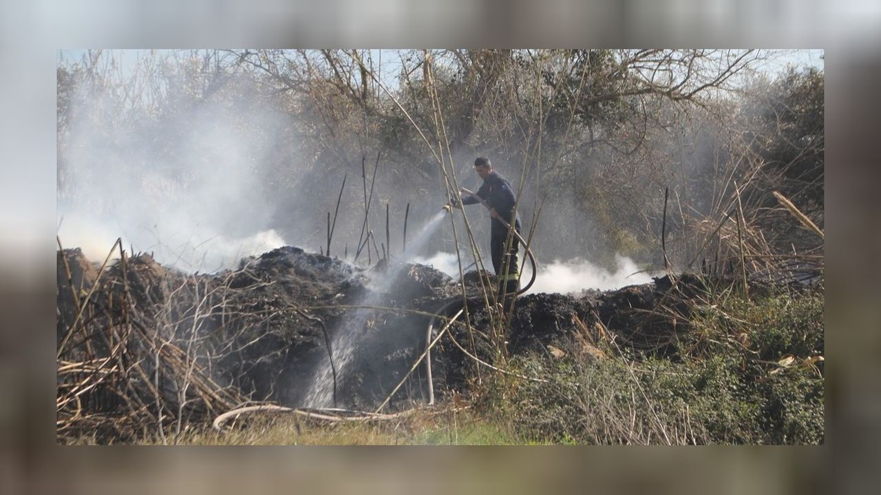Antalya'da sazlık alanda yangın! 