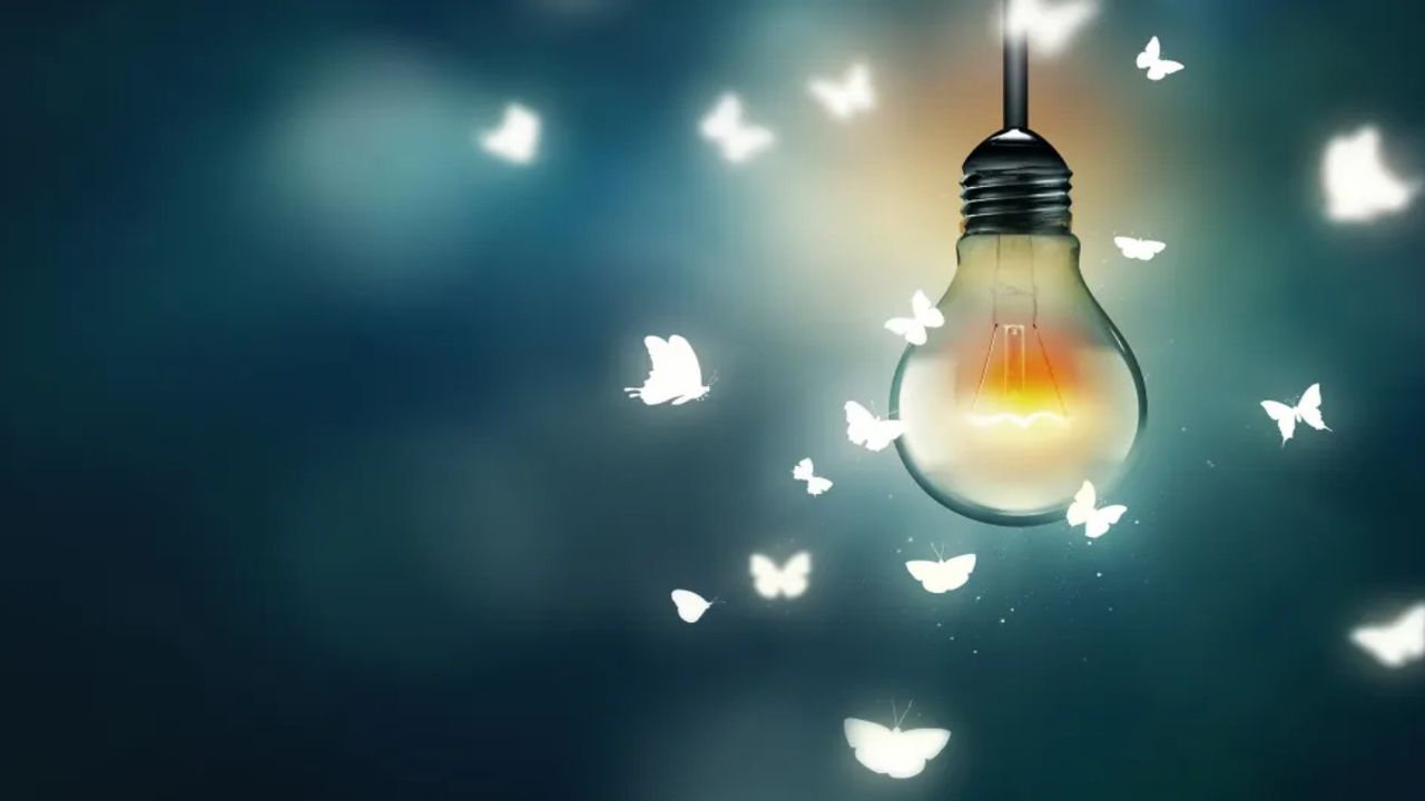 Böceklerin ışığa gelmesinin nedeni “kafa karışıklığı” mı?