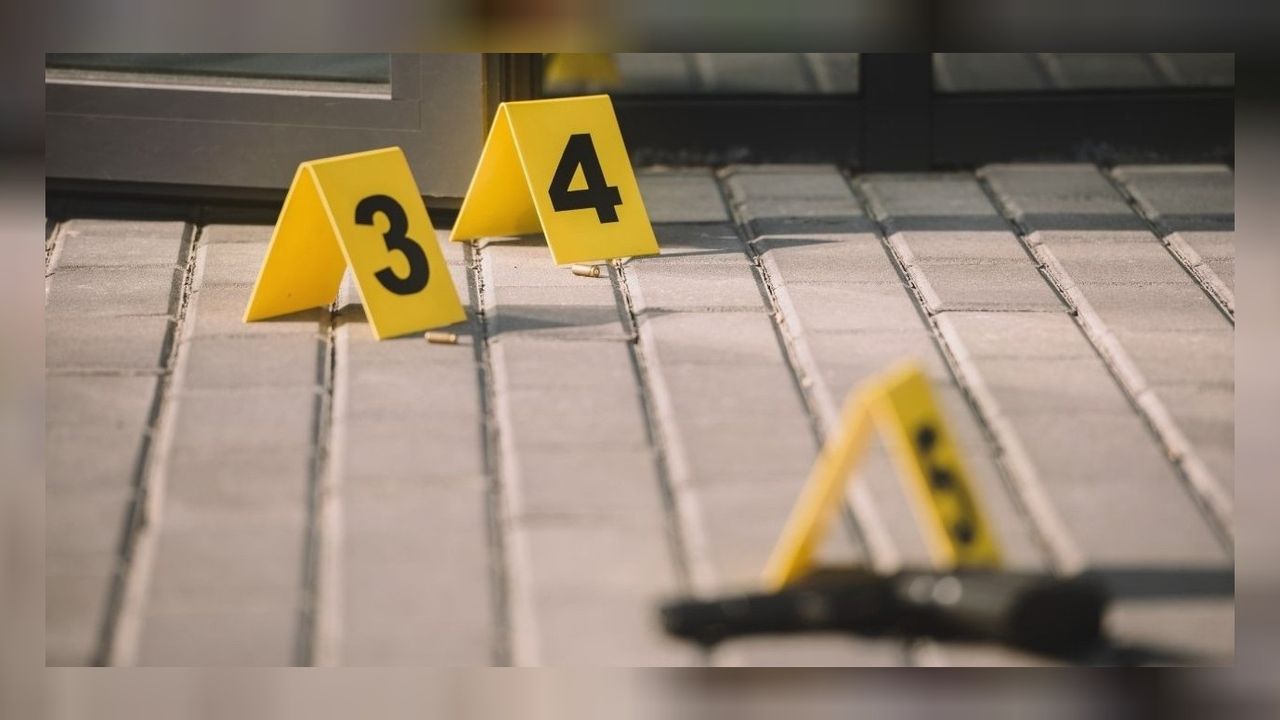 Endişelendiren veri! Türkiye'deki 34 milyon silahın sadece 4 milyonu ruhsatlı! 