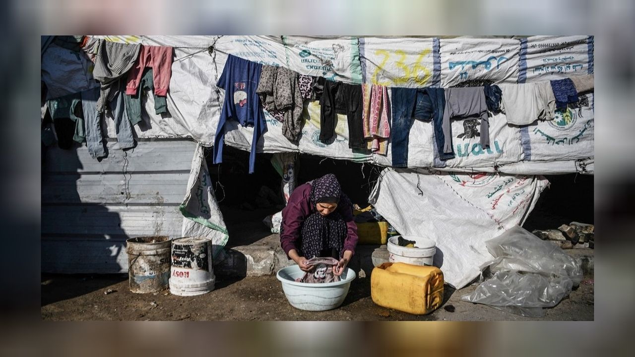 Kaldırımlara çadır kuran Filistinlilerin yaşam mücadelesi Refah kentine taşındı