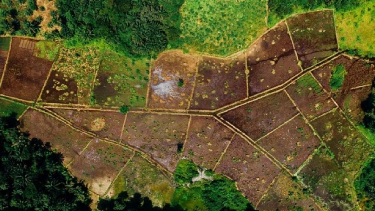 KDV’den muaf 39.000 TL’ye araziniz Milli Emlak’tan hazır! Ankara’da uygun fiyatlı araziler sizi bekliyor