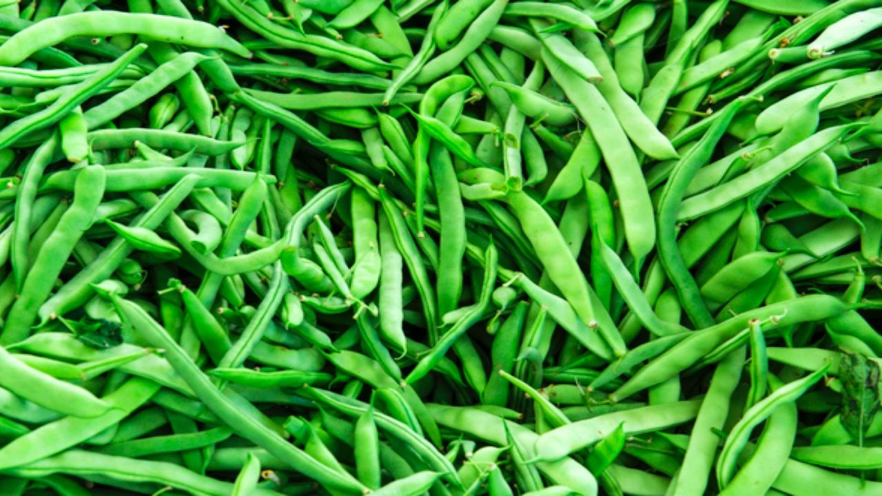 Taze fasulyenin kilogramı 90 TL’den satışa çıktı! Vatandaşlar koşarak pazardan uzaklaştı