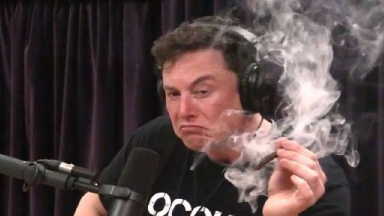 Tesla'nın eski yöneticisi uyuşturucuyu bırakması için Elon Musk’ı Hawaii’ye davet etti!