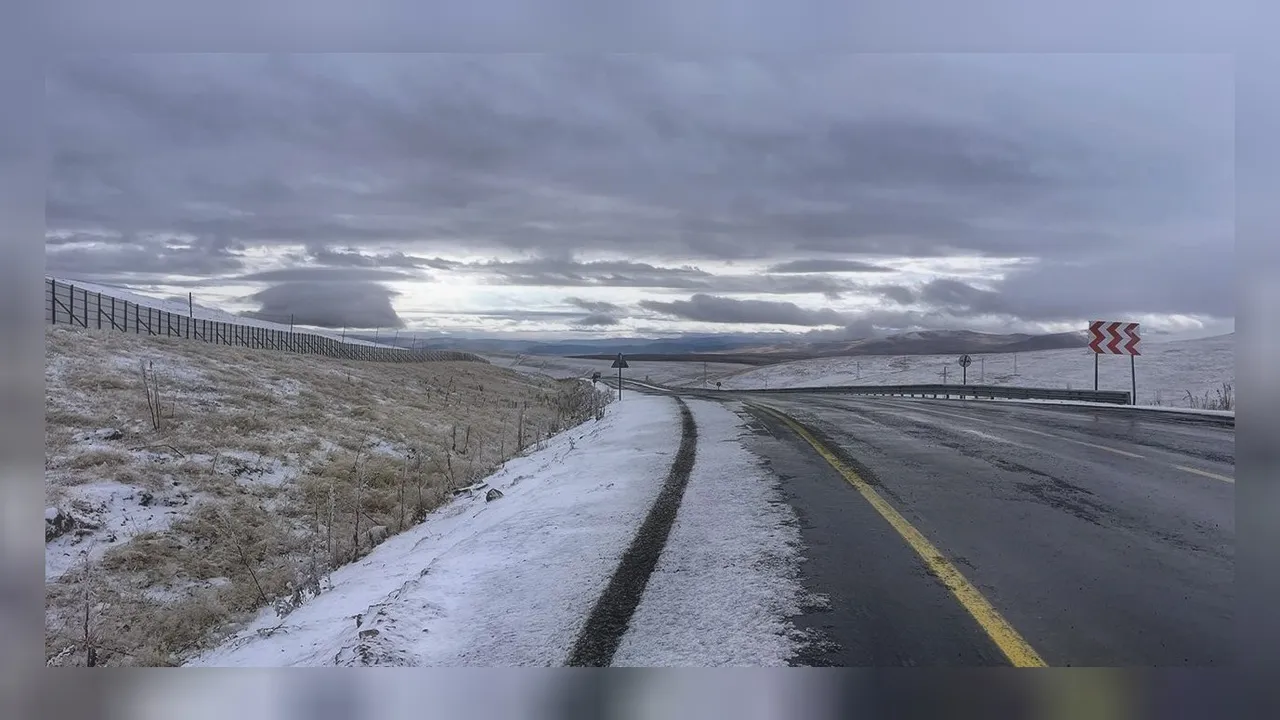 Türkgözü-Posof-Damal kara yolu 2 günün sonunda açıldı! 