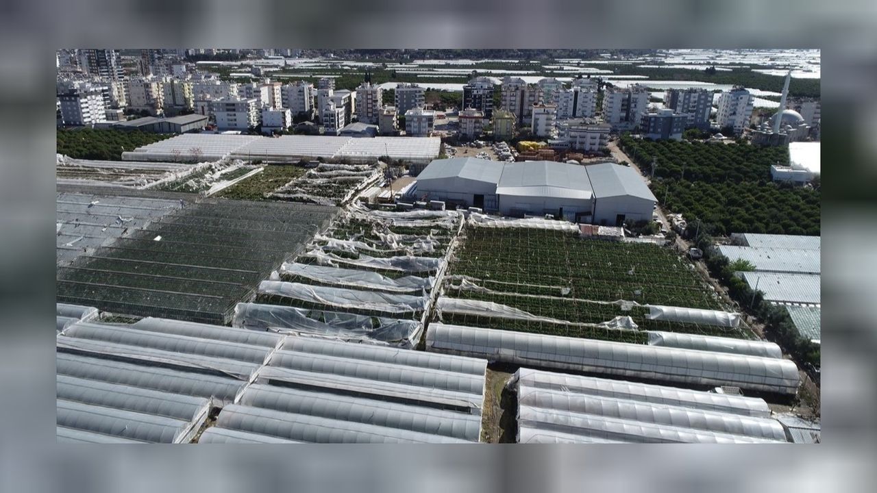 Antalya'da hortumun zarar verdiği bölgelerde hasar tespiti başladı! 