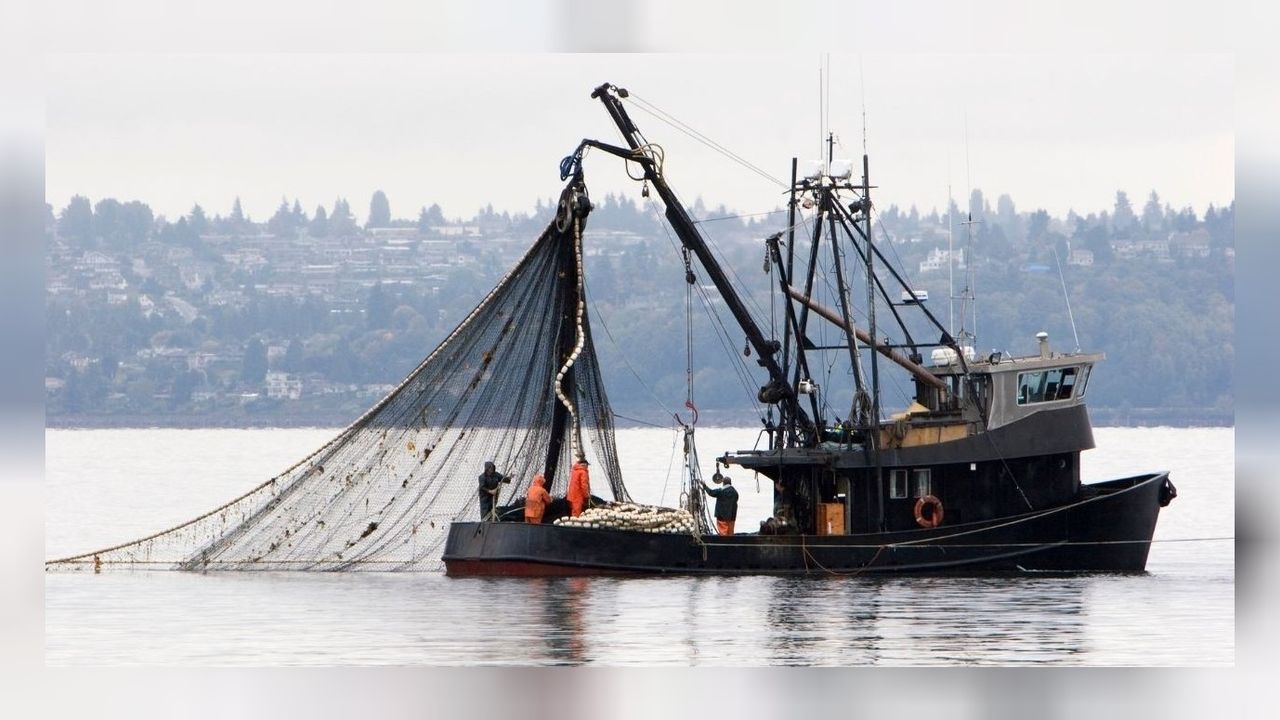 Balıkçı teknesi alabora oldu: 2 ölü, 11 yaralı ve 24 kayıp! 