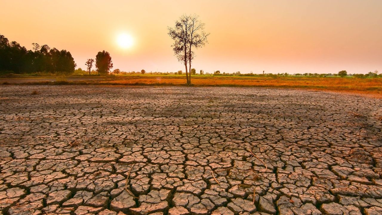 Dünya Meteoroloji Örgütü'nden El Nino uyarısı: Mart ve Mayıs ayına dikkat! 