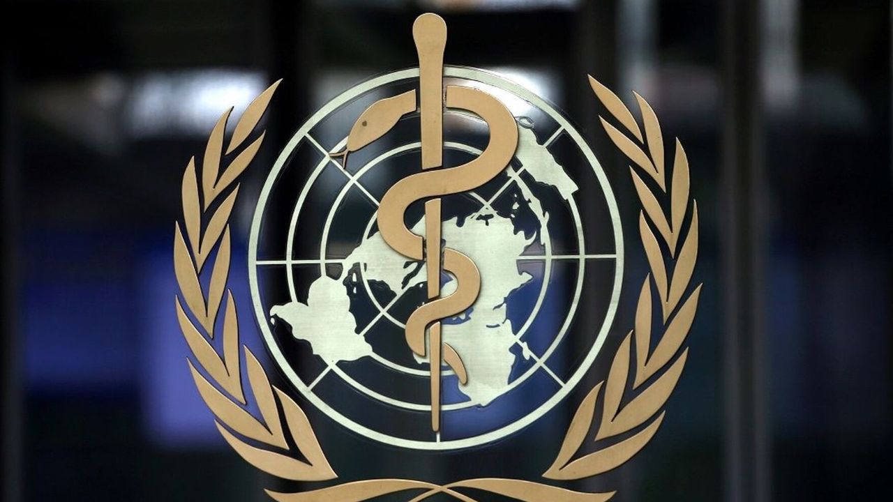 Dünya Sağlık Örgütü açıkladı: Gazze'de yalnızca 10 hastane hizmet veriyor