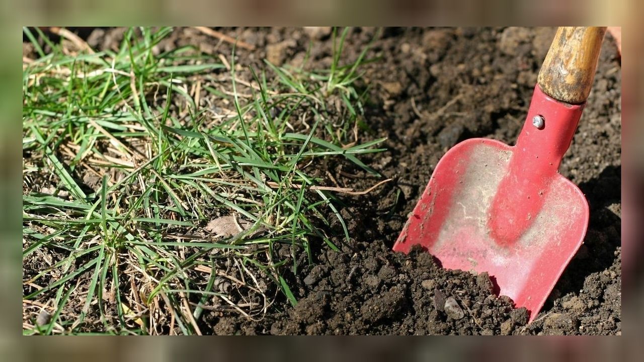 Gizemli çukurdan 132 farklı kişinin kemiği çıktı! 