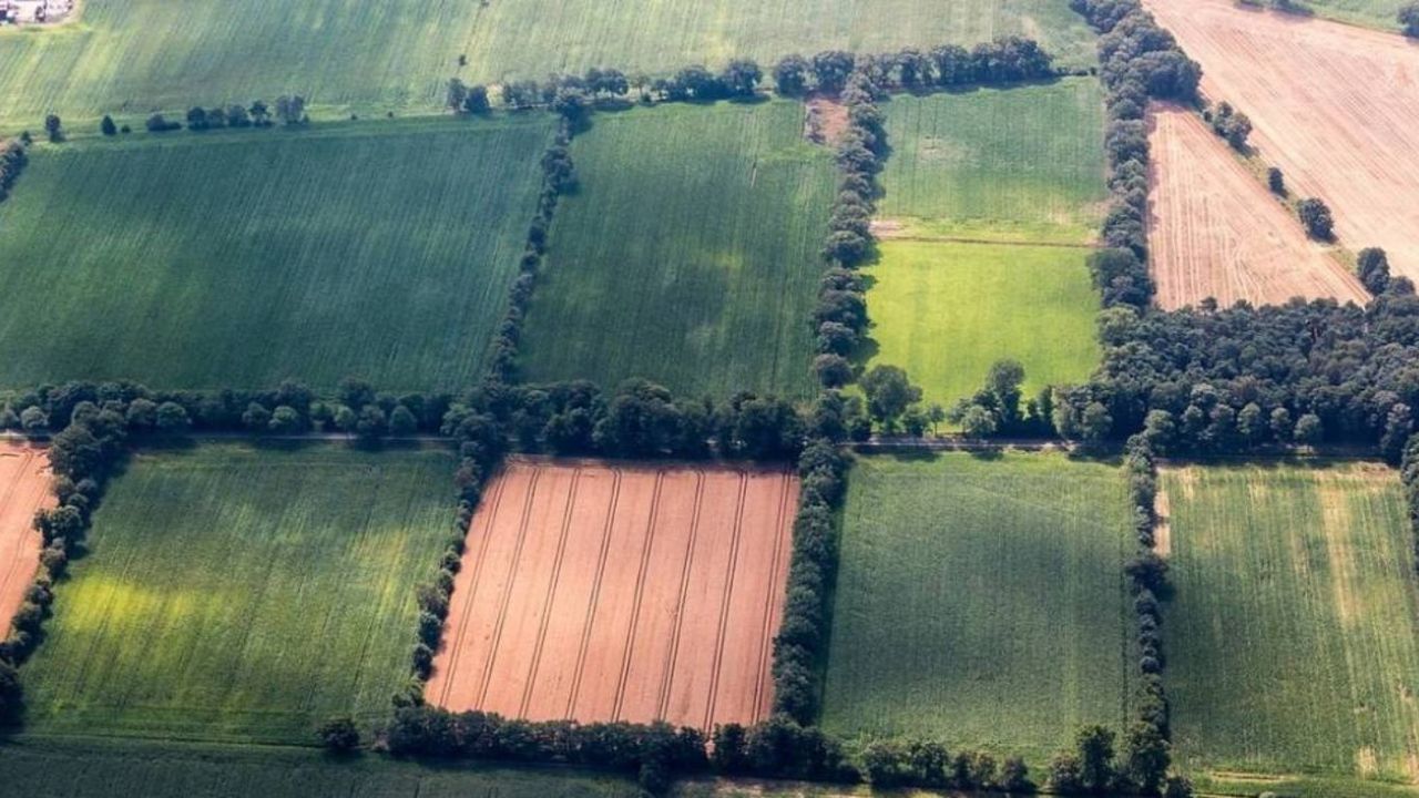 Kütahya' da arsa sahibi olmak isteyen, bu ihaleyi kaçırmasın! 80 bin TL' ye 1.028,16 m2 arsa mahkemeden satışta