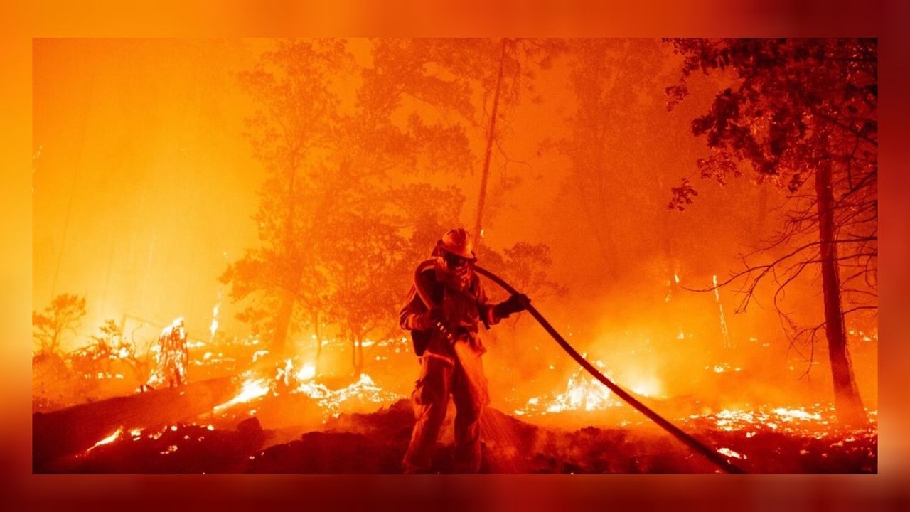 Meksika'da korkutan manzara: 15 eyaletteki 58 ormanda yangın çıktı! 