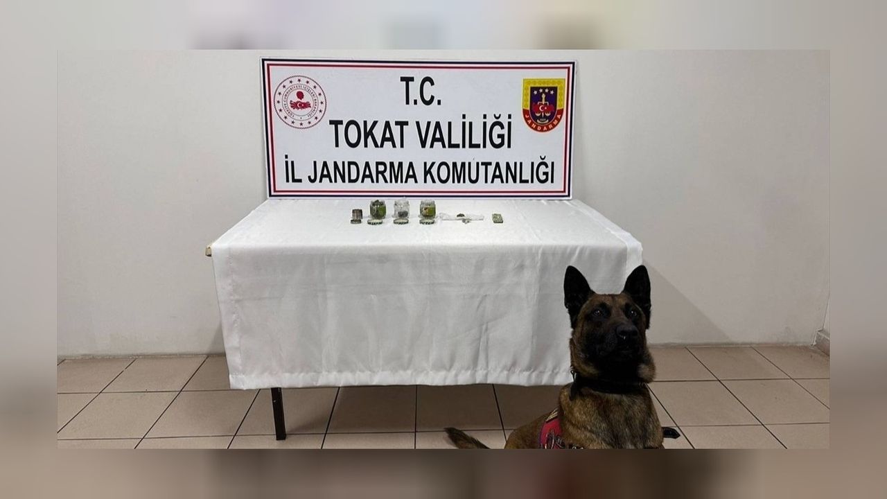 Tokat'ta tarihi eser niteliği olan 51 sikkeye el konuldu! 