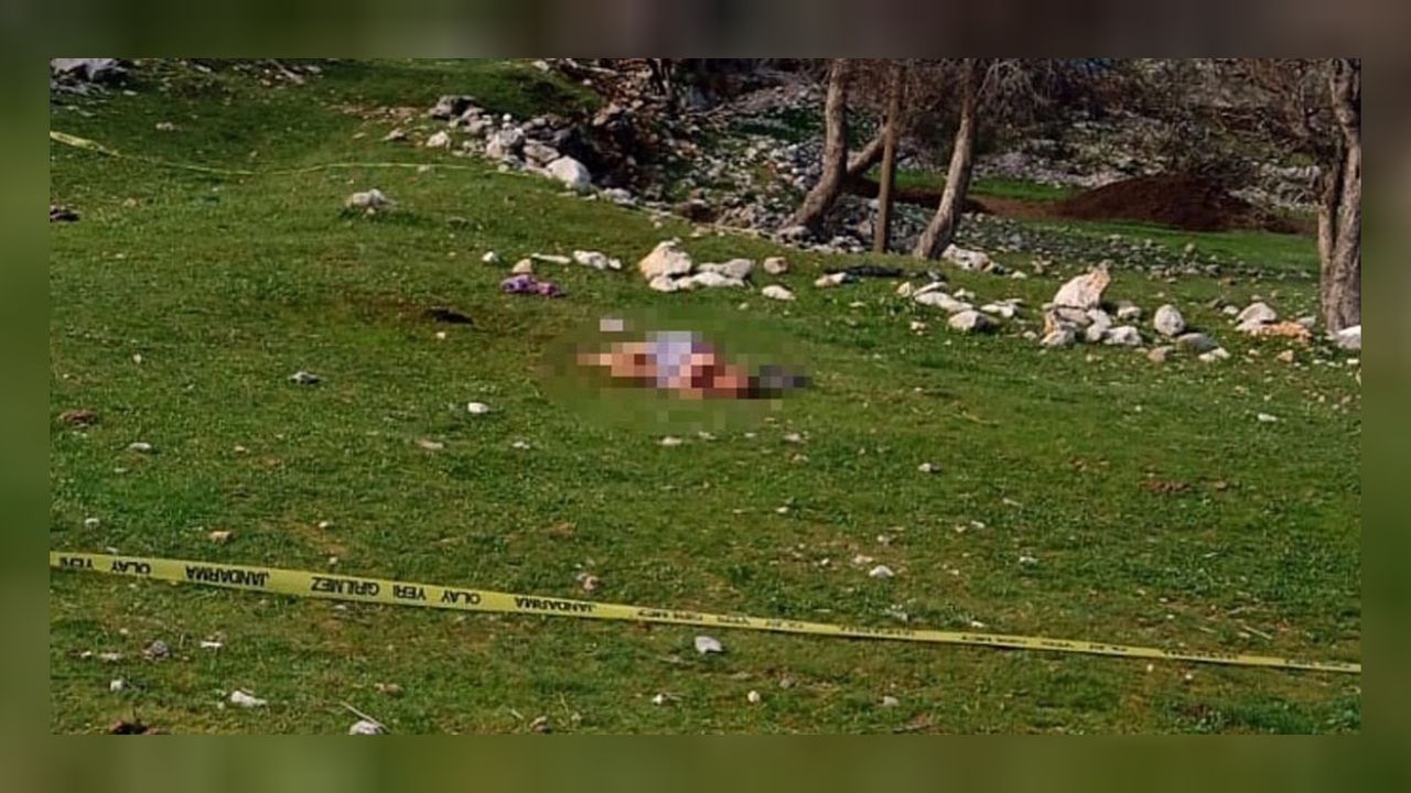 Akseki muhtar adayının 85 yaşındaki annesi çoban köpekleri tarafından öldürüldü! 