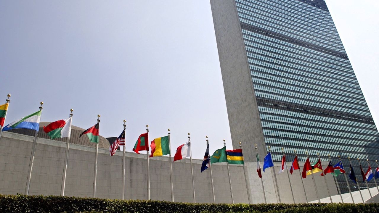 Birleşmiş Milletler'den Gazze Şeridi, Doğu Kudüs ve Batı Şeria için yardım çağrısı 