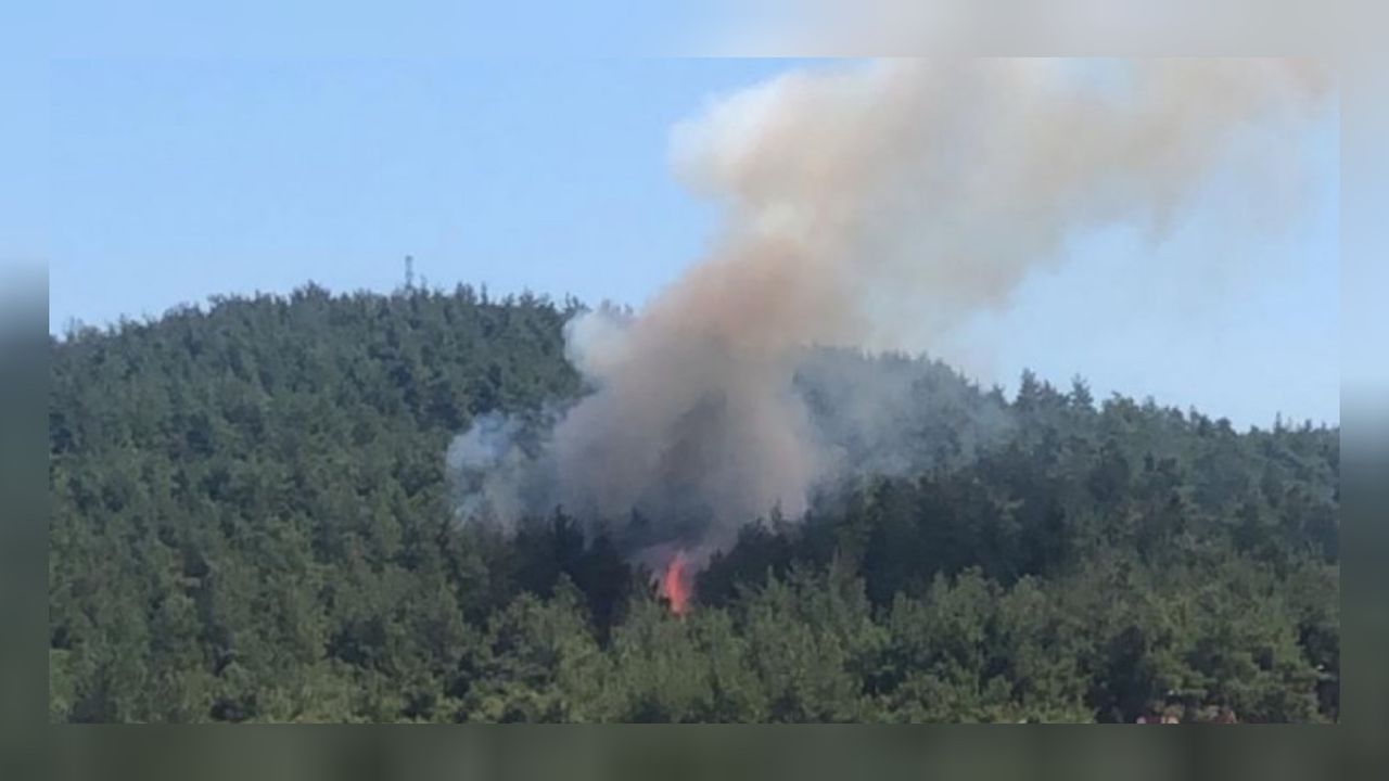 Bursa'da ormanlık alanda korkutan yangın! Soğutma çalışmaları sürüyor 