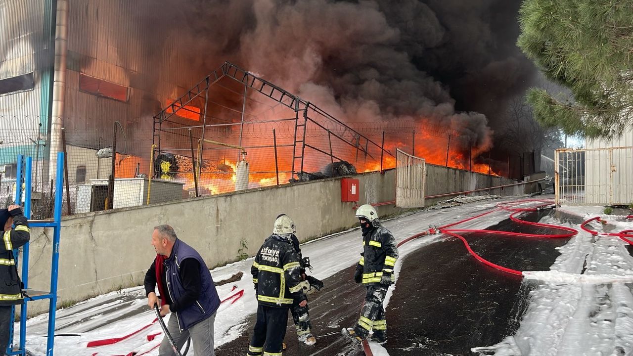 Tekirdağ'da yangın: Sünger fabrikası alevler içinde! 