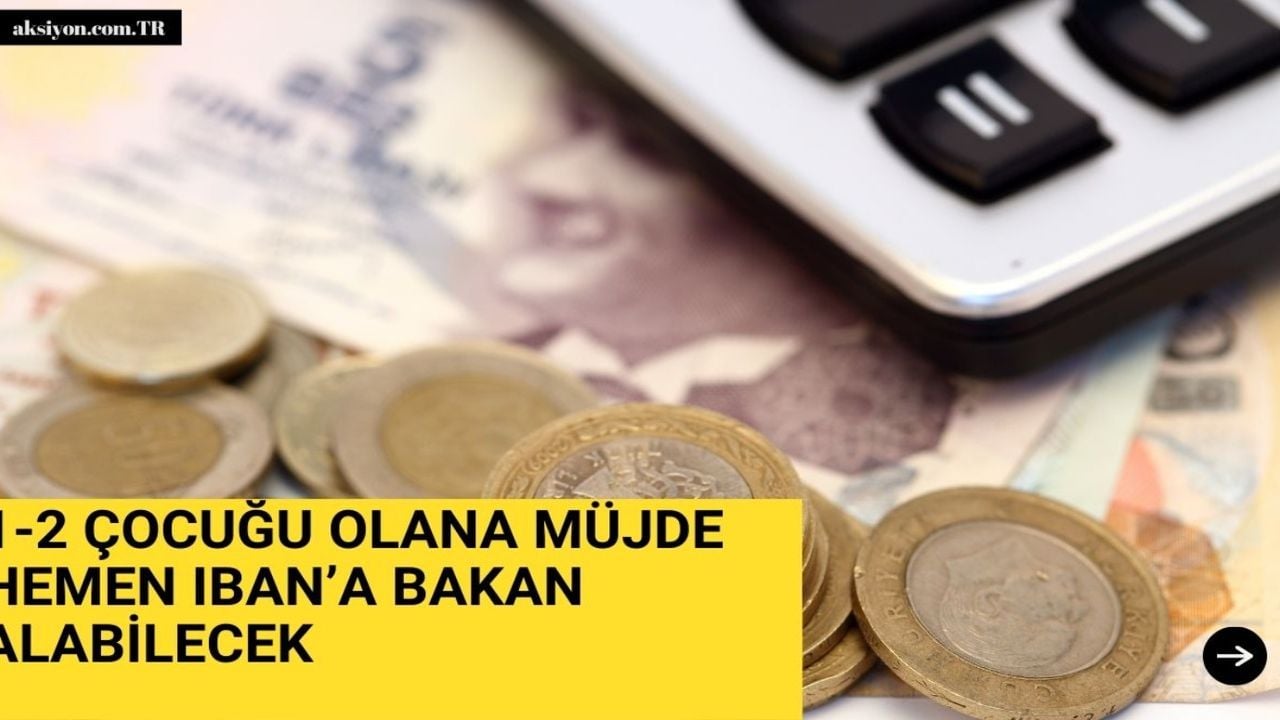 1-2 çocuğu olan hemen IBAN'a baksın! Milyonlarca haneye ödeniyor