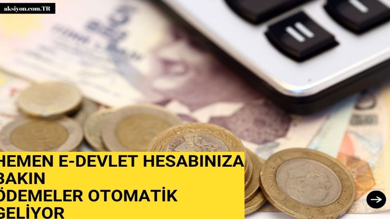 15 Mayıs'a dikkat! E-devlet üzerinden 5.330 TL ödeme geliyor 