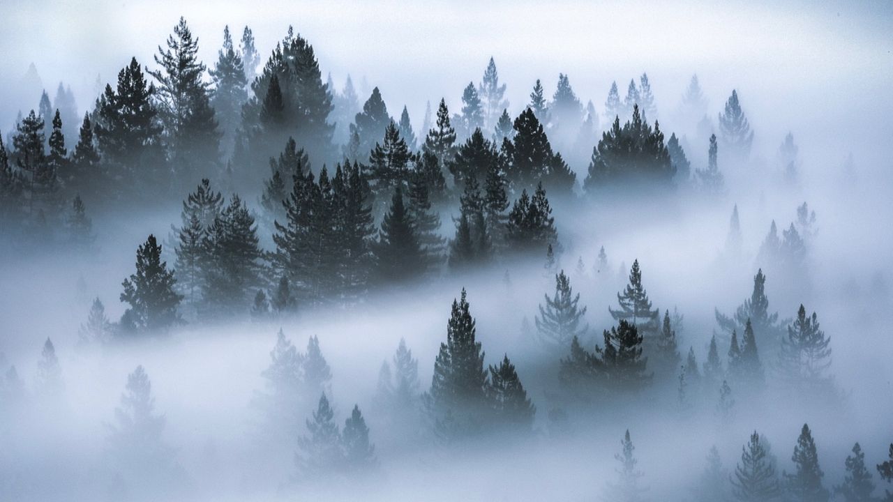 Bolu Dağı’nı sis kapladı: Sürücüler ilerlemekte zorlanıyor! 