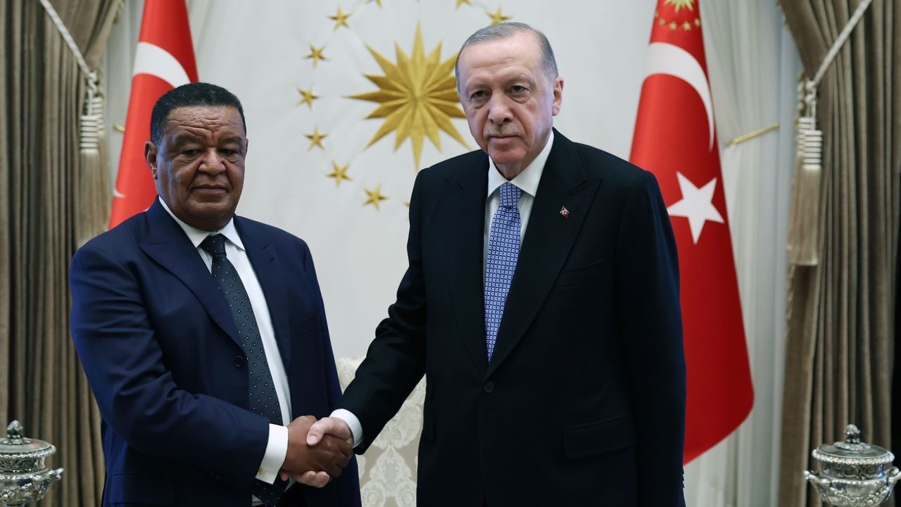 Cumhurbaşkanı Erdoğan eski Etiyopya Cumhurbaşkanı ile görüştü! 