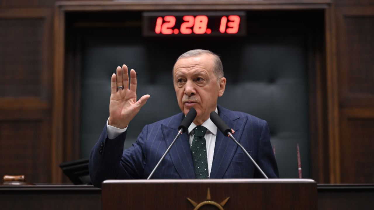 Cumhurbaşkanı sahipsiz sokak hayvanları hakkında açıklama yaptı: Öncelikle sahiplendireceğiz 