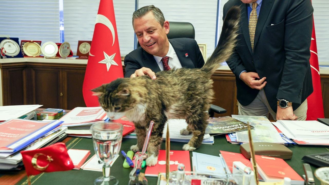 Cumhuriyet Halk Partili Şero taburcu oldu! Özgür Özel’den yeni paylaşım