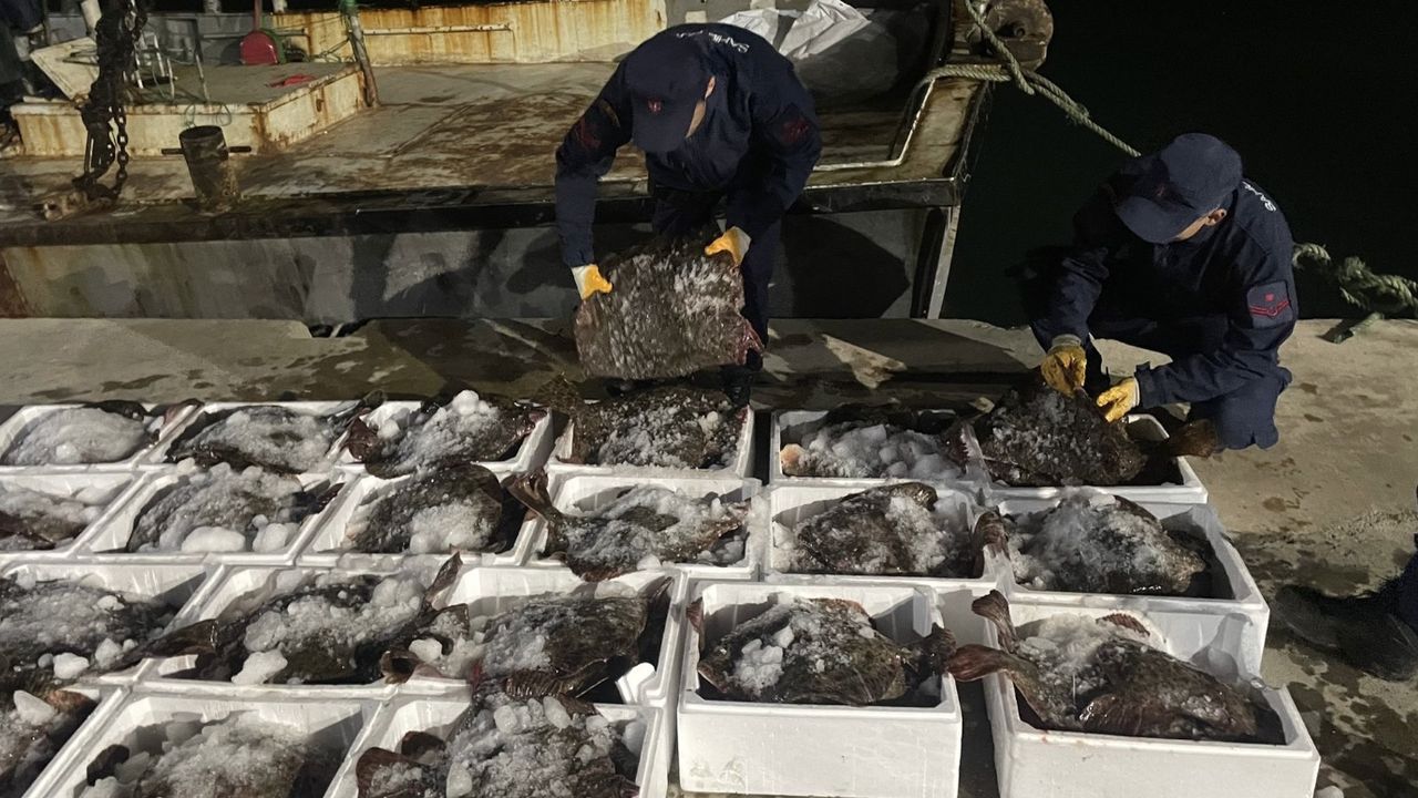 Kaçak olarak avlanan 880 adet kalkan balığına el konuldu! 