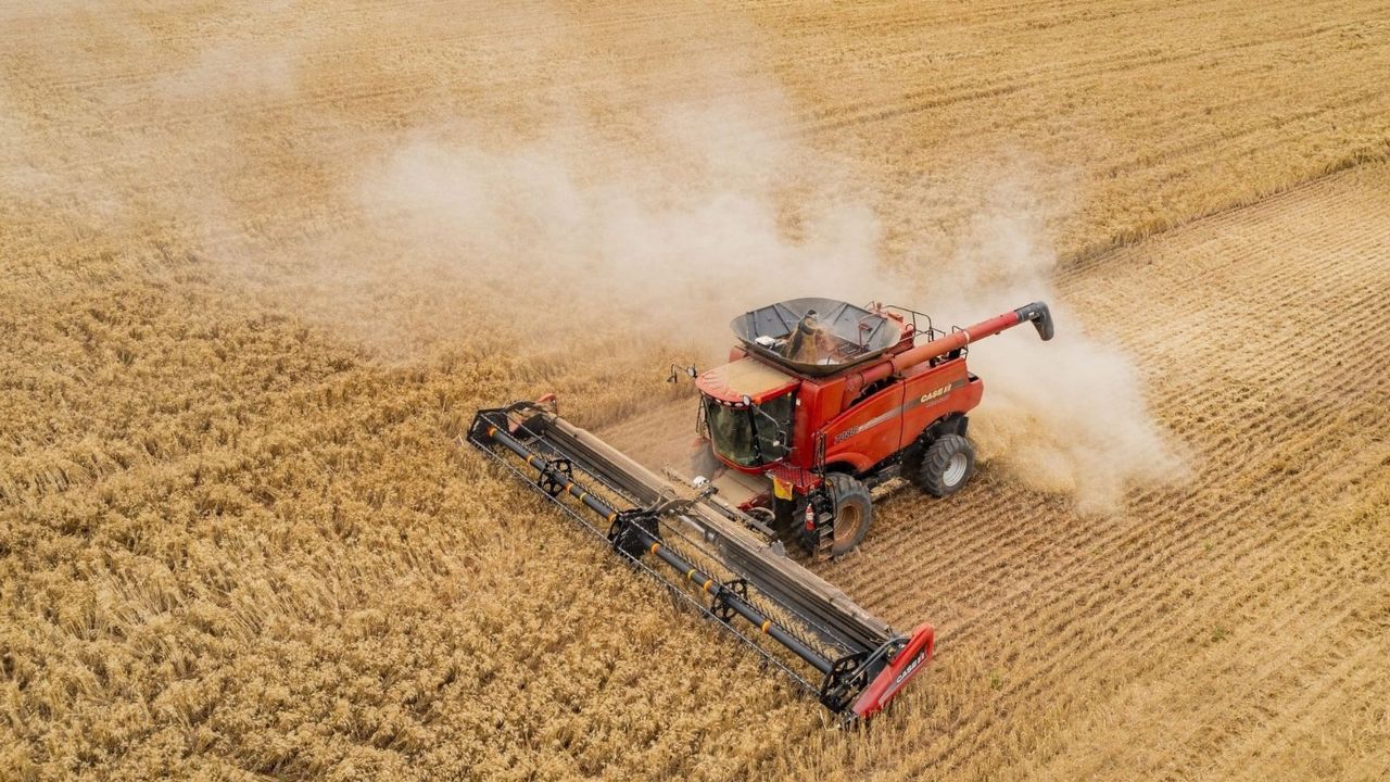 Tarım Bakanı duyurdu! Bugün 1.2 milyar liralık tarımsal destek yatacak 