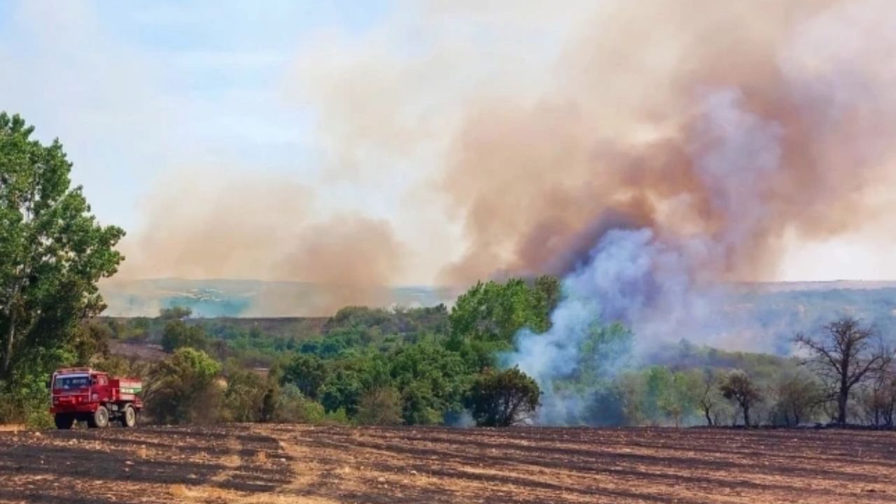 50 dönüm buğday tarlası kül oldu! 