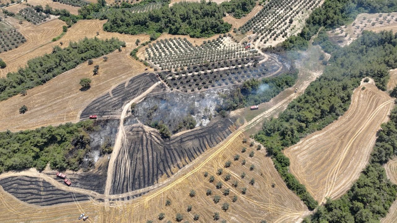 Adana’da çıkan anız yangını güçlükle kontrol altına alındı! 