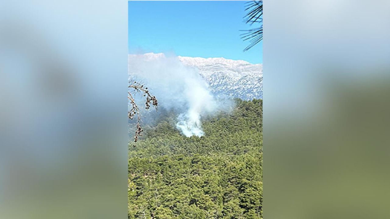 Antalya Manavgat'ta orman yangını paniği! Ekipler havadan ve karadan mücadele veriyor