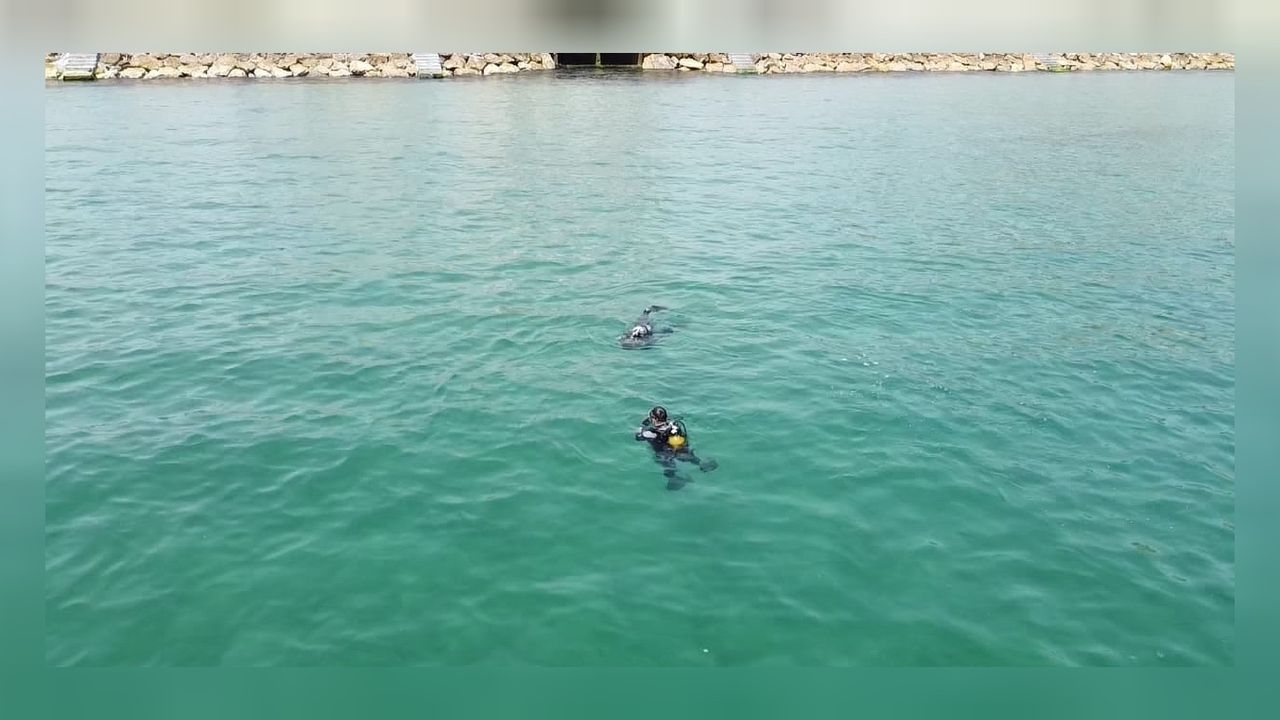 Çanakkale Savaşları’ndan kalan 109 yıllık mayın imha edildi 