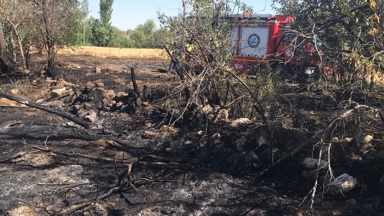 Eskişehir'de yangın: 70 dönümlük buğday tarlası ve meyve ağaçları yandı! 