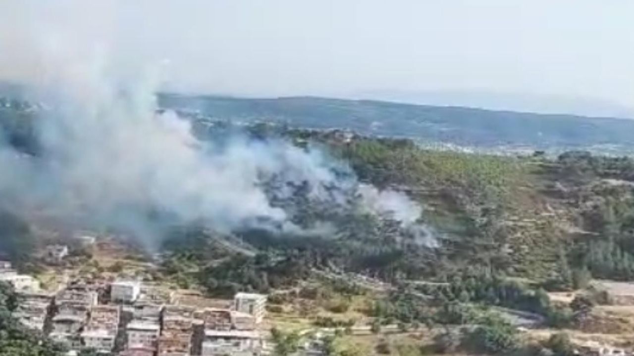 İzmir Bornova'da orman yangını! Ekipler mücadeleye devam ediyor