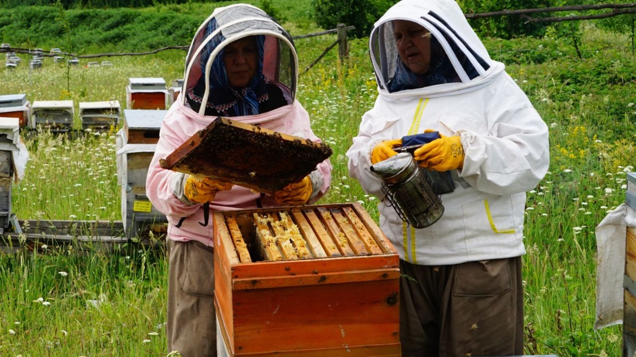 Kafkas arıları için 140 organik kovan ve malzemeleri dağıtıldı! 