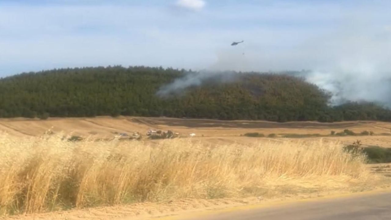 Keşan'da ormanlık alan tehlikedeydi! Yangın son anda söndürüldü