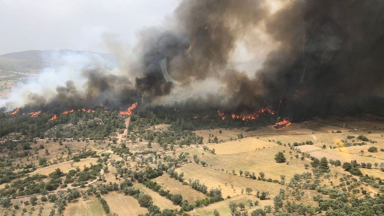 Muğla Milas'ta çıkan yangının kontrol altına alındığı açıklandı! 