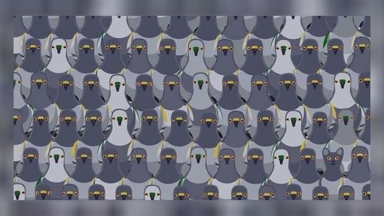 Resimdeki gizli kediyi 100 kişiden sadece 3'ü bulabildi! Gözleri şahin gibi olanlar tek bakışta fark ediyor