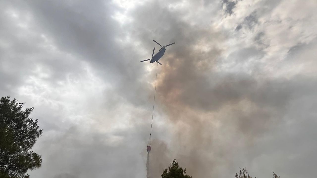 Son dakika! Aydın'da yangına müdahale eden uçak göle düştü! 