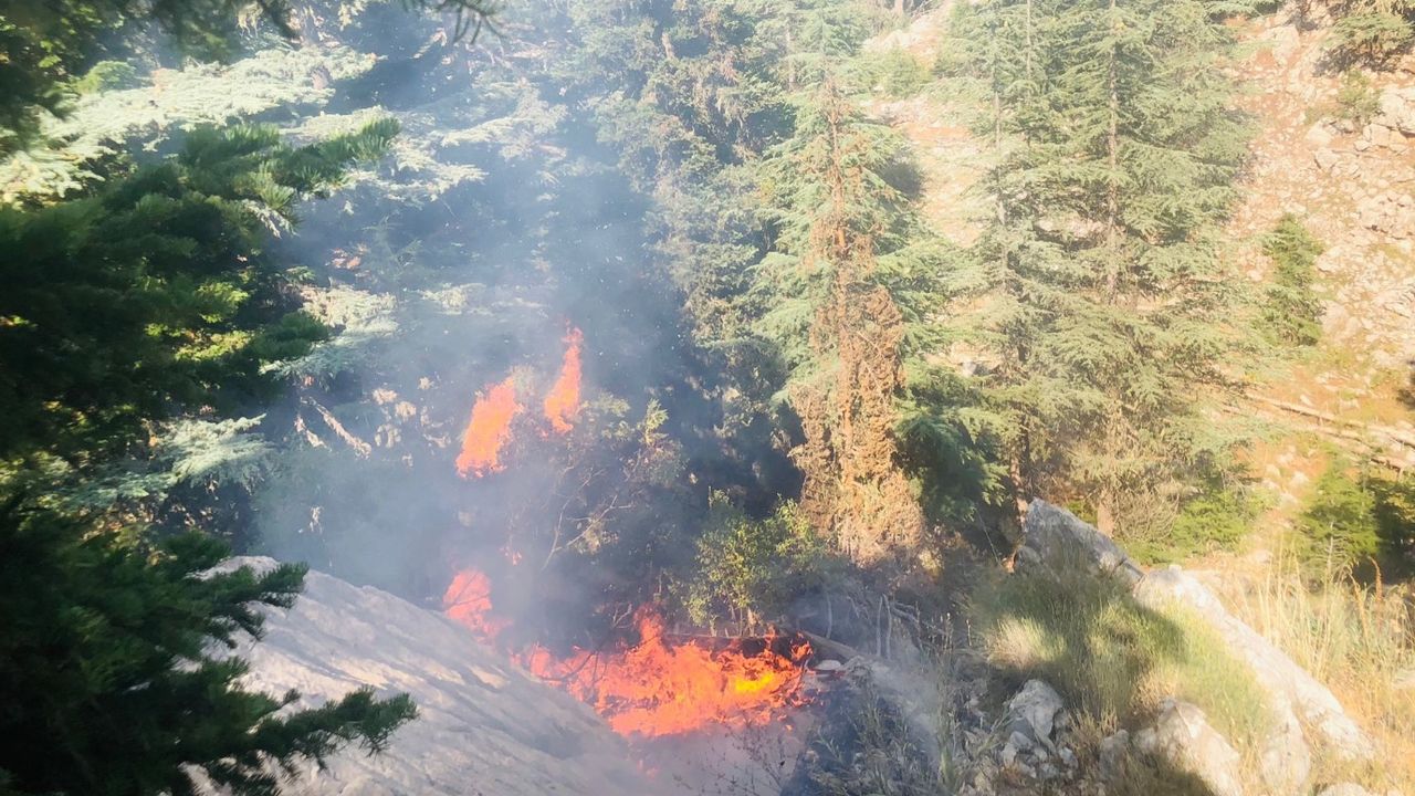 Adana’da orman yangınına ekipler hızla müdahale ediyor! 