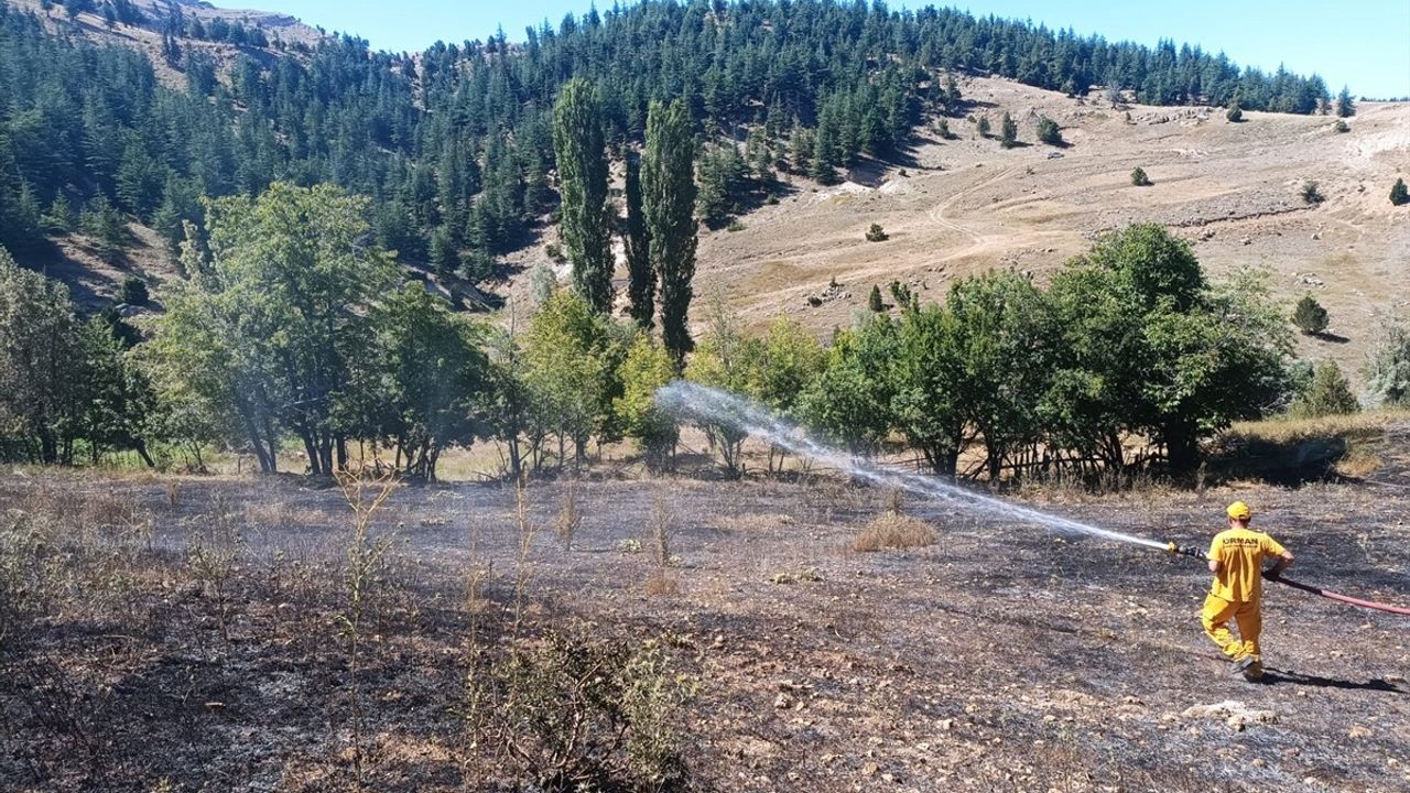 Adana'daki Anız Yangını Kontrol Altına Alındı
