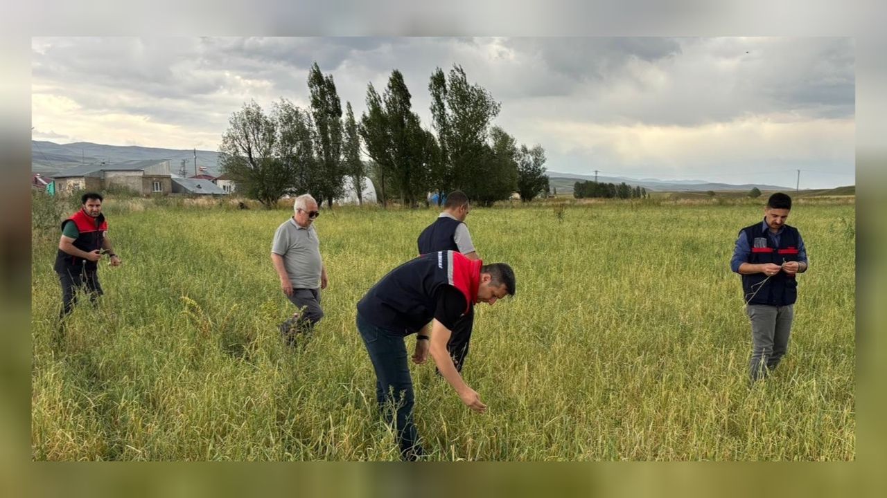 Ağrı'da etkili olan dolu tarım arazilerine büyük zarar verdi! 