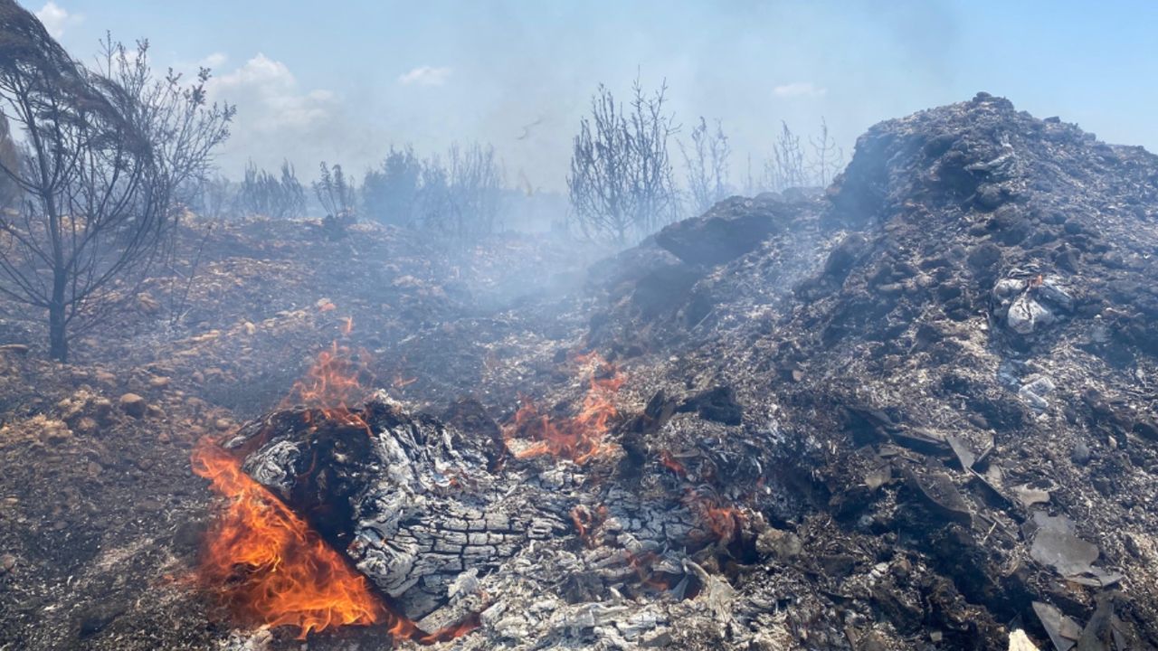 Antalya Aksu'da orman yangını: Ekipler güçlükle söndürdü! 