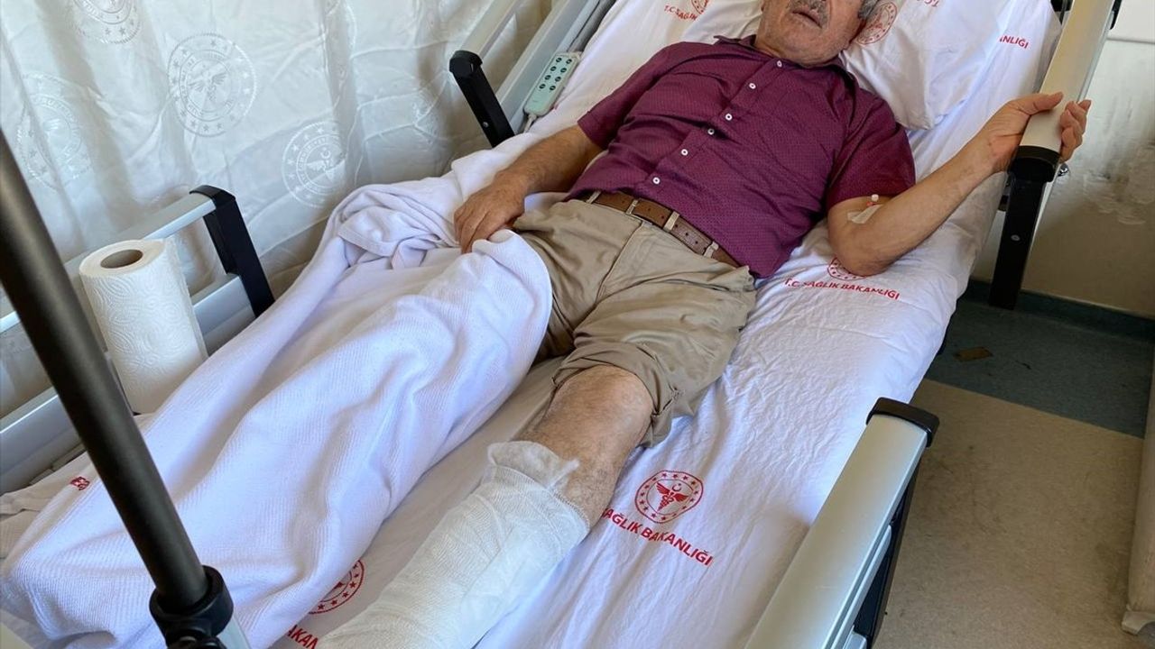 Antalya'da Sahipsiz Köpek Saldırısı: 69 Yaşındaki Adam Yaralandı