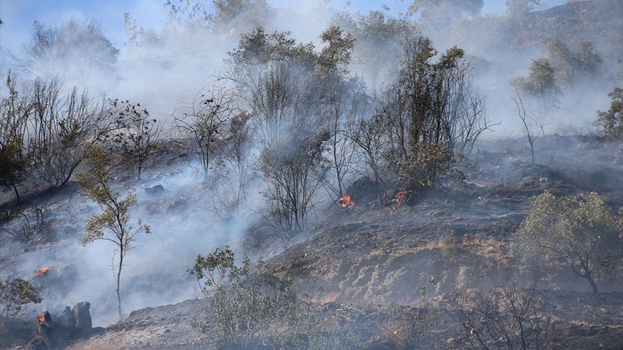 Aydın'da Yangın Yeniden Alevlendi