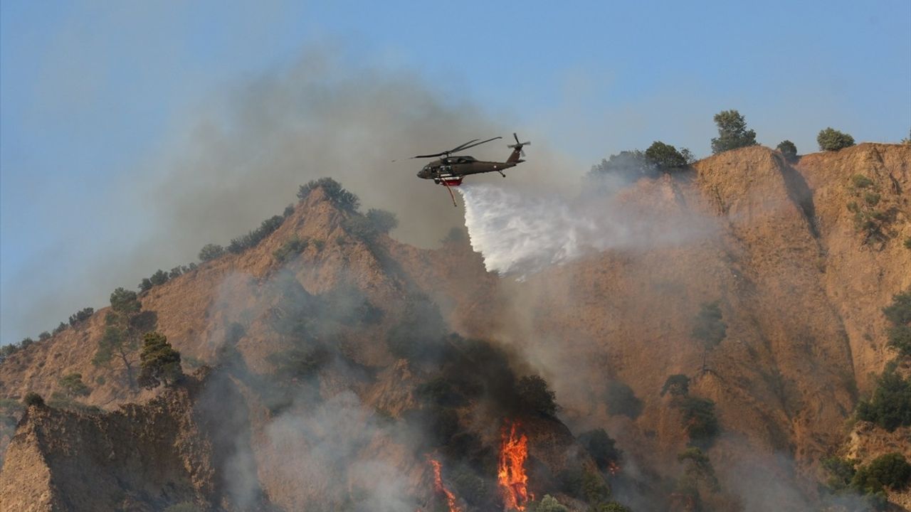 Aydın'daki Zeytinlik Yangını Kontrol Altına Alındı